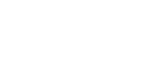 Movimento Social